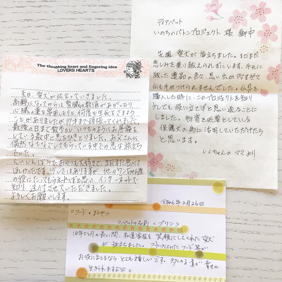BatonDearpet's tweet photo. たくさんの支援物資がディアペット埼玉店に届きました🐕…🌈 たくさんの支援物資がディアペット埼玉店に届きました🐕…@choviraiさま🐶つぶちゃんお気持ちをたくさんありがとうございます。その他の物資受取報告Instagramでおこなっていますhttps://t.co/VVS2KVmj01 https://t.co/CiDVFzr2cw