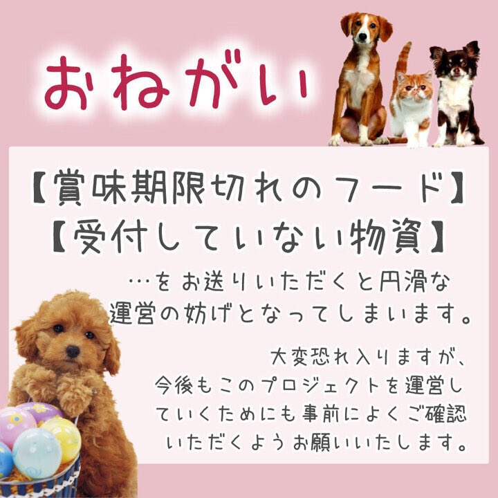 BatonDearpet's tweet photo. たくさんの支援物資がディアペット埼玉店に届きました🐕…🌈 たくさんの支援物資がディアペット埼玉店に届きました🐕…@choviraiさま🐶つぶちゃんお気持ちをたくさんありがとうございます。その他の物資受取報告Instagramでおこなっていますhttps://t.co/VVS2KVmj01 https://t.co/CiDVFzr2cw