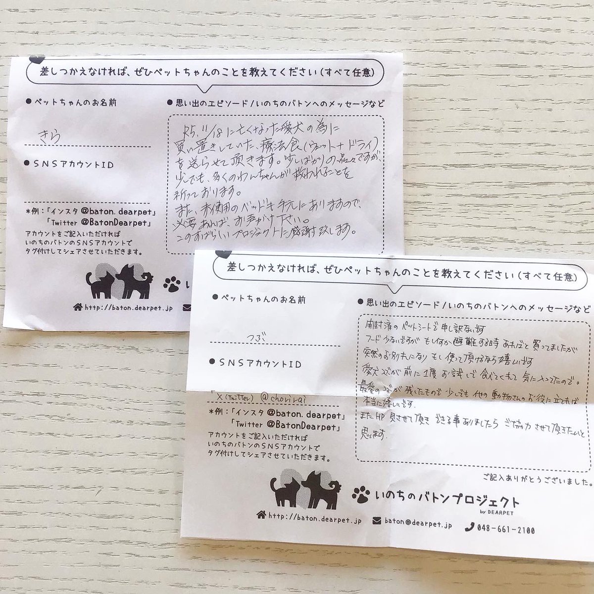 BatonDearpet's tweet photo. たくさんの支援物資がディアペット埼玉店に届きました🐕…🌈 たくさんの支援物資がディアペット埼玉店に届きました🐕…@choviraiさま🐶つぶちゃんお気持ちをたくさんありがとうございます。その他の物資受取報告Instagramでおこなっていますhttps://t.co/VVS2KVmj01 https://t.co/CiDVFzr2cw
