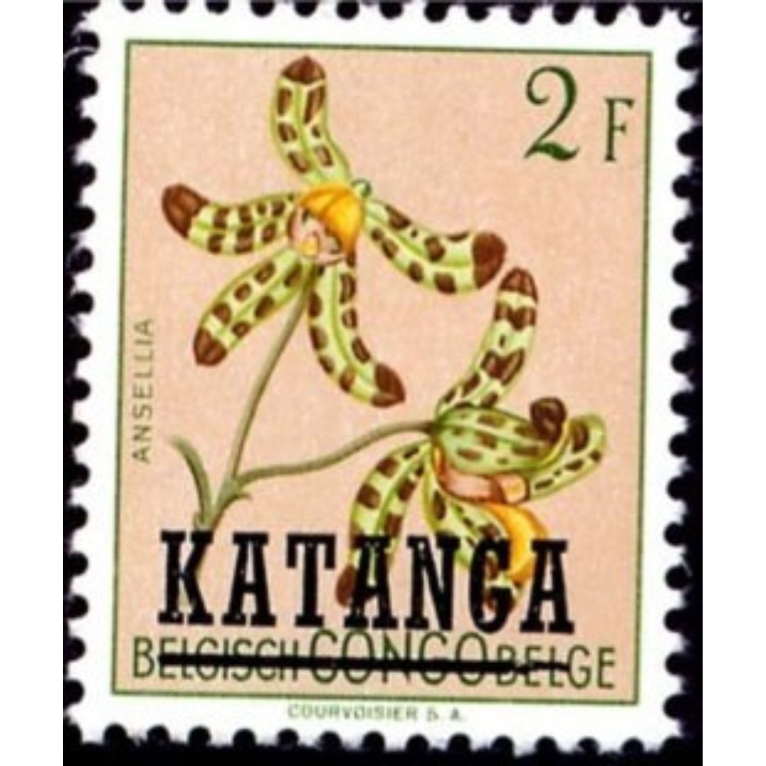 Image in previous tweet: Stamp of Katanga, the Republic of the Congo overprint on stamp of Belgian Congo, issued 22/9/1960, face value 2 Katangan franc, image of Leopard Orchid (ansellia africana) @writer_floralia @theFourdrinier @ace_national @Paper_Gallery_ #creativeartwriting