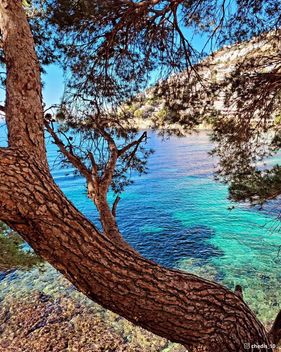 VisitRoses's tweet photo. Comencem la setmana amb la bonica visió del #camideronda de @chedis_10 ☀️ Bon dia! 💙
Empezamos la semana con la bonita visión del #caminoderonda de @chedis_10 ☀️ ¡Buenos días! 💙
On commence la semaine avec la belle vision du #cheminderonde de @chedis_10 ☀️ Bonjour! 💙 https://t.co/rynWn6Dihu