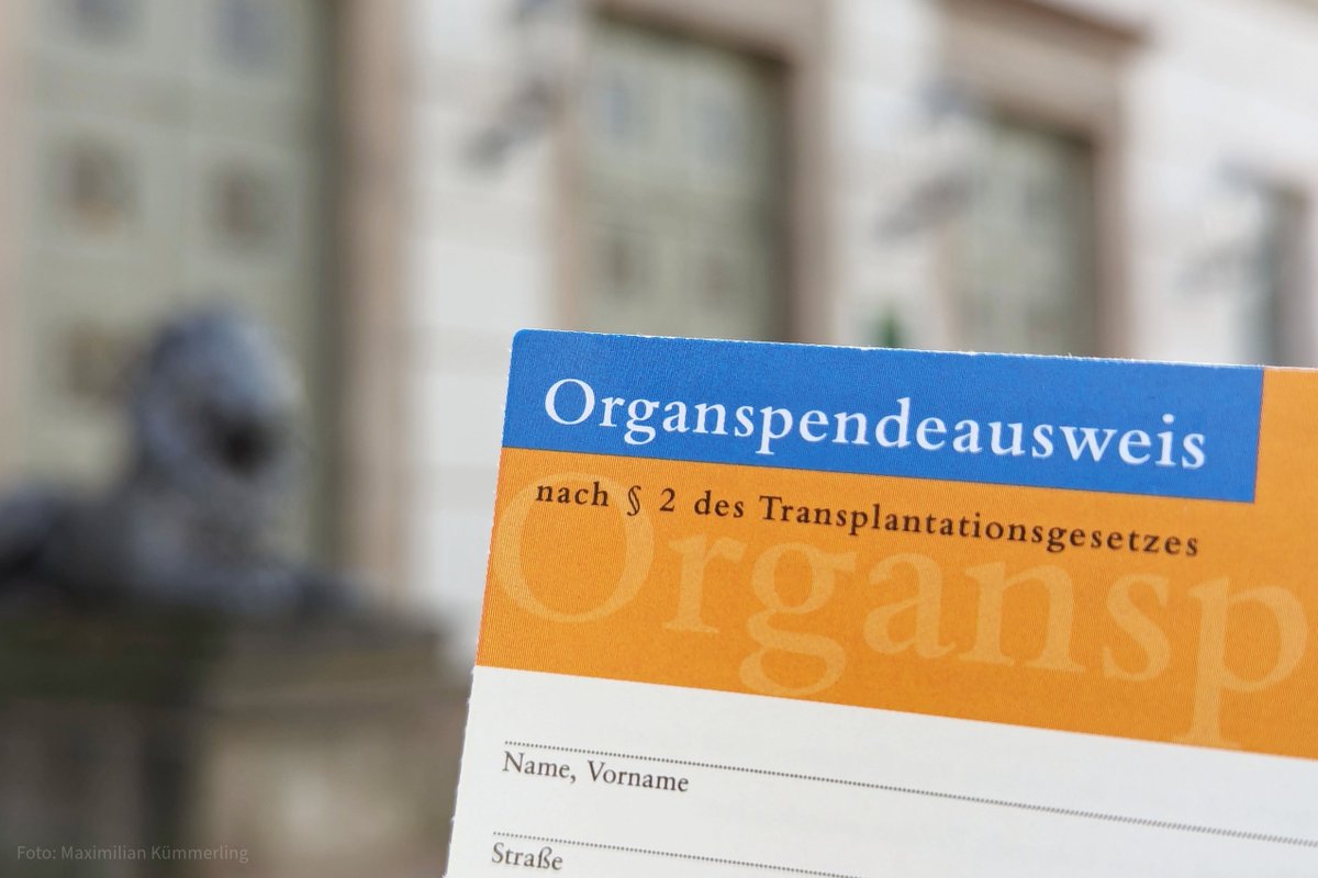 Triage, Organspende, Kostendruck: Mit dem Verhältnis von Ethik &amp; Ökonomie im Gesundheitssystem befasst sich ab Montag die <a href="/dggoe/">dggö</a>-Jahrestagung an der MLU. Neben Fachbeiträgen gibt's eine Podiumsdiskussion zum Themenkomplex Organspende &amp; -transplantation. mlu.de/9p7lp