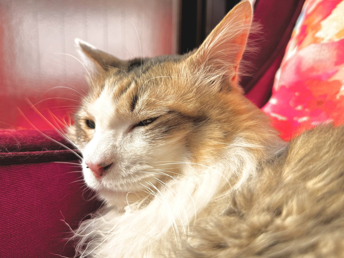 ゆかちん@ウリエル tweet media