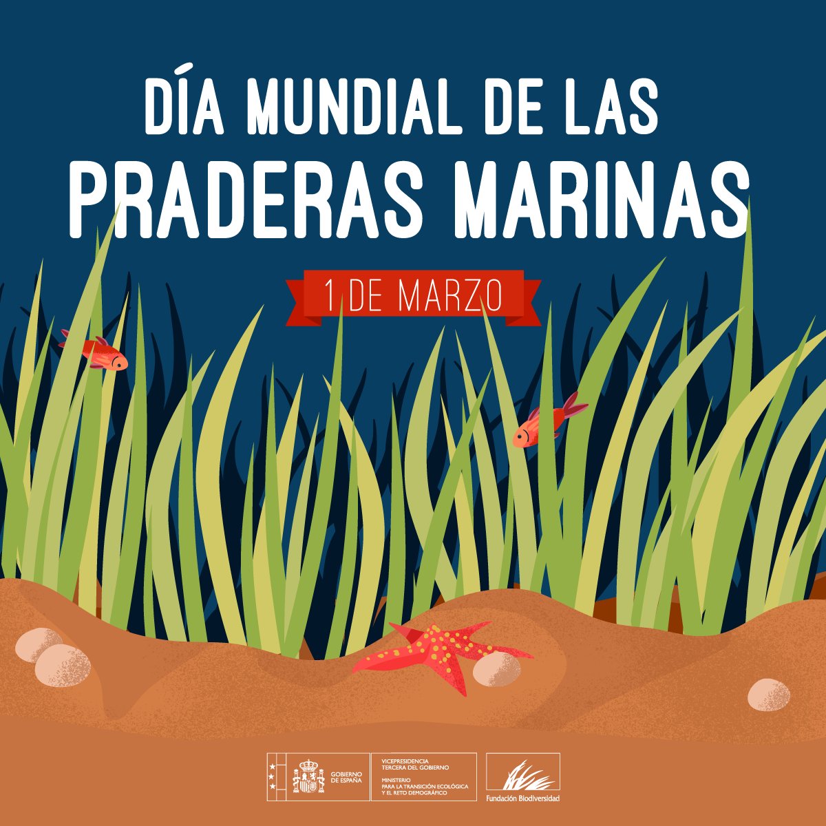 Las praderas marinas nos prestan unos servicios ecosistémicos vitales:

💨 Una hectárea puede absorber tanto CO2 como 15 hectáreas de selva tropical
🌬️ Un solo metro cuadrado produce tanto oxígeno como una hectárea de la selva amazónica

#DíaDeLasPraderasMarinas #WorldSeagrassDay