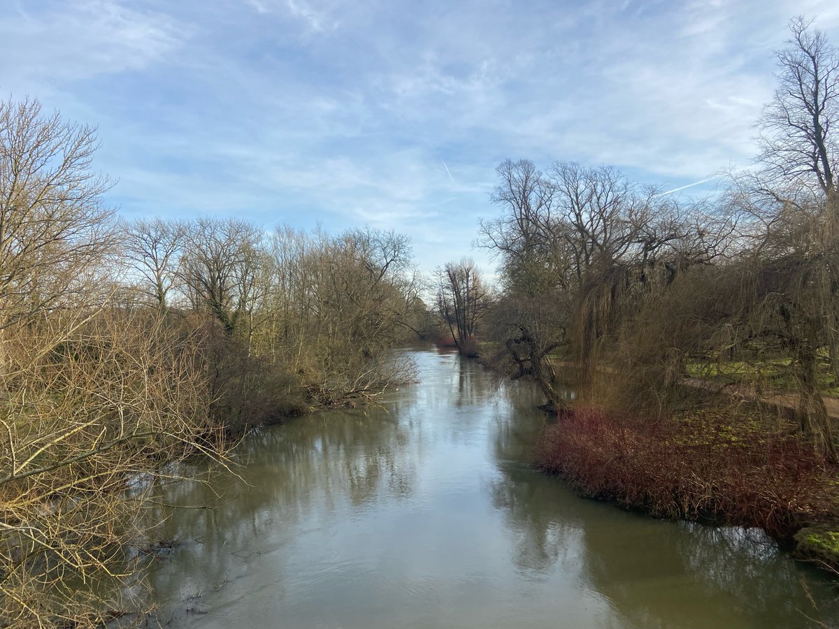 I am delighted to share that I will be a Visiting Scholar at at the @OxLifeWriting at @WolfsonCollege beginning this April. I am excited to join a brilliant community of writers as I finish my loneliness project and begin working on an intellectual biography of Alexandre Kojève.