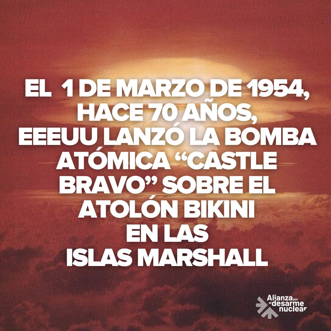 Alianza por el Desarme Nuclear tweet media