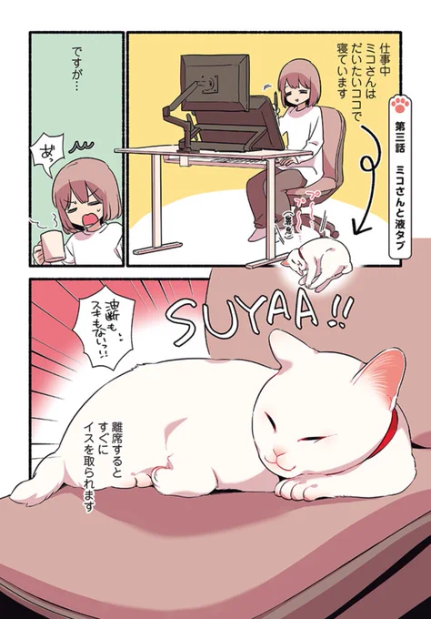 構われるためならなんでもする甘えんぼ猫の話
(1/2)
 #漫画が読めるハッシュタグ
 #愛されたがりの白猫ミコさん 