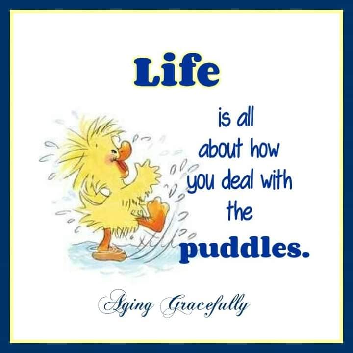 JennyKaneAuthor's tweet image. Maddie would be #puddlesplashing today!
#thepottingshed

amazon.co.uk/dp/B0C4YV54PG...
#romcom #series #Devon 

@AriaFiction