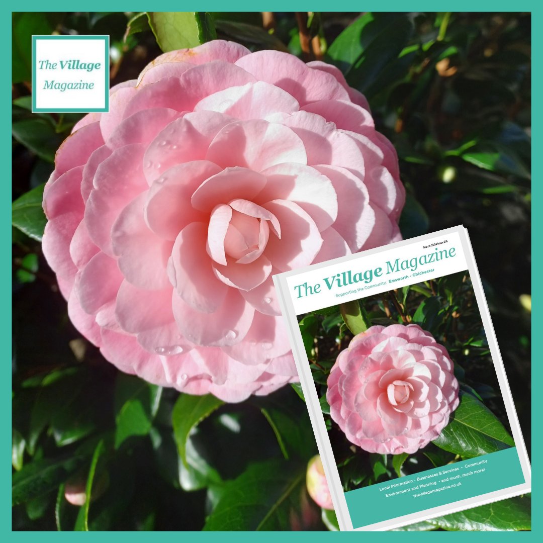 The March issue is out now! thevillagemagazine.co.uk 
#marchissue #flowers #springtime #localvillagemag #thevillagemagazine #localnews #localevents #localbusinesses