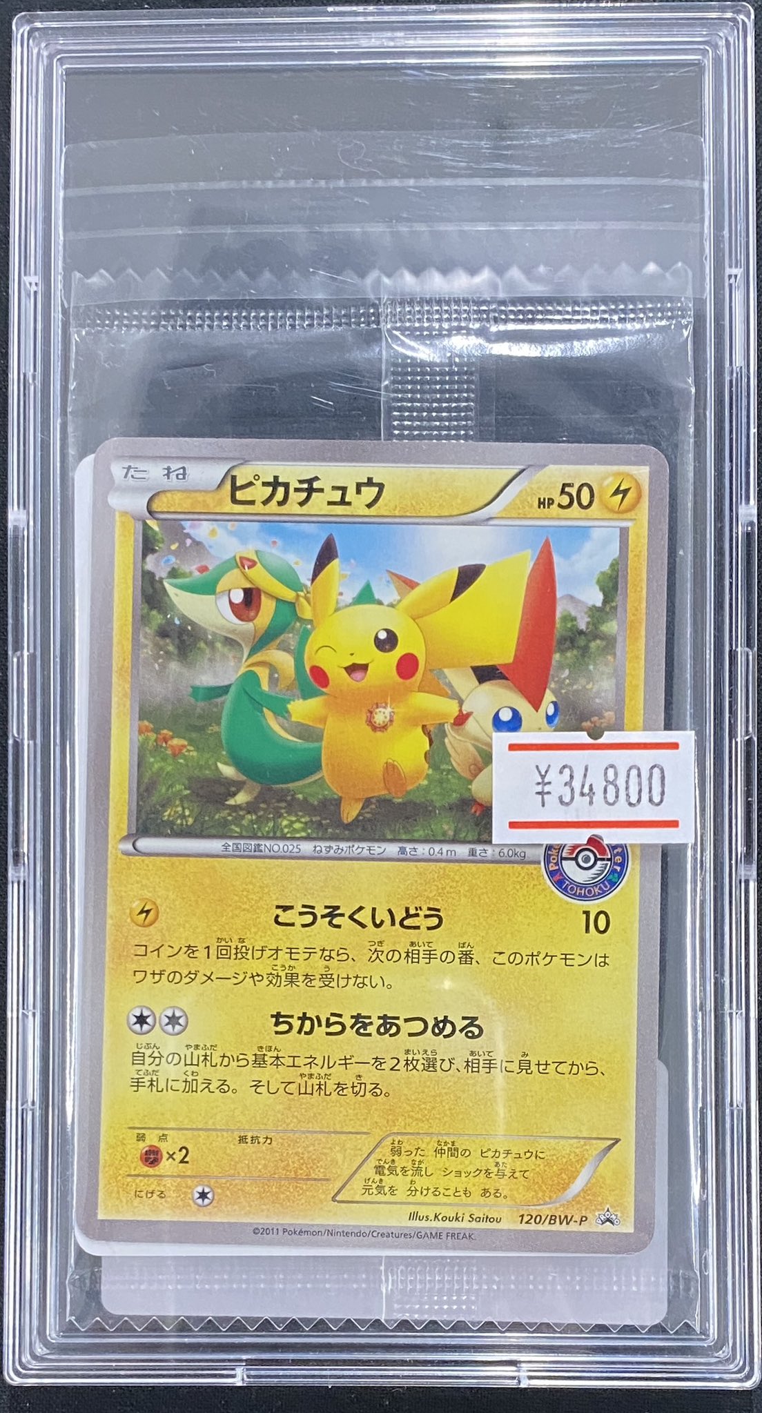 ピカチュウ プロモーションカード 120/BW-P ピカチュウ BW-P psa10