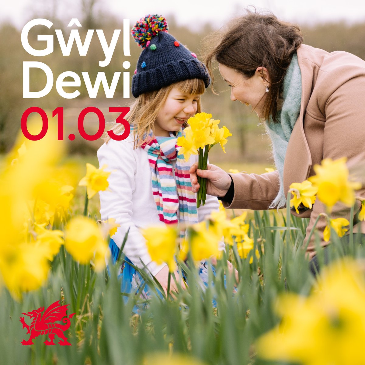 On the day we celebrate our patron saint, we’re getting involved with @visitwales’ #RandomActsofWelshness campaign, which encourages everyone to embrace and showcase the little things that make us Welsh! We’d love to see your random acts of Welshness, however you’re taking part!