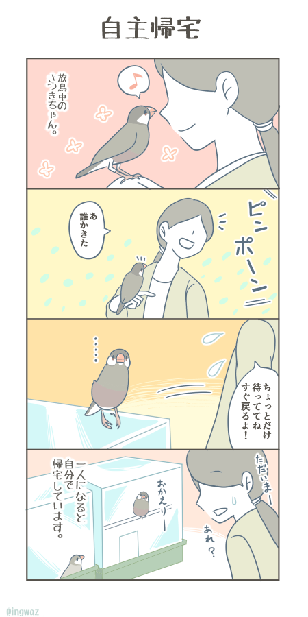 自主帰宅。

#漫画が読めるハッシュタグ #Buncho #文鳥 