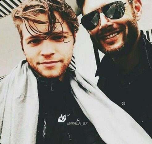 A L E X A N D E R tweet media