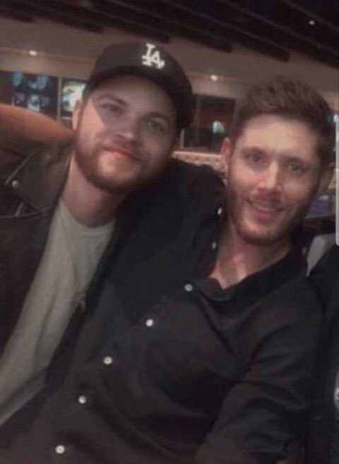 A L E X A N D E R tweet media