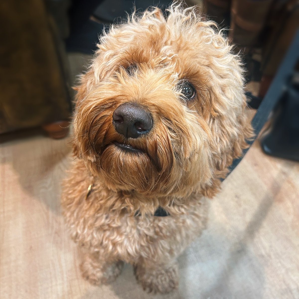 Twenty Pence Garden Centre tweet media