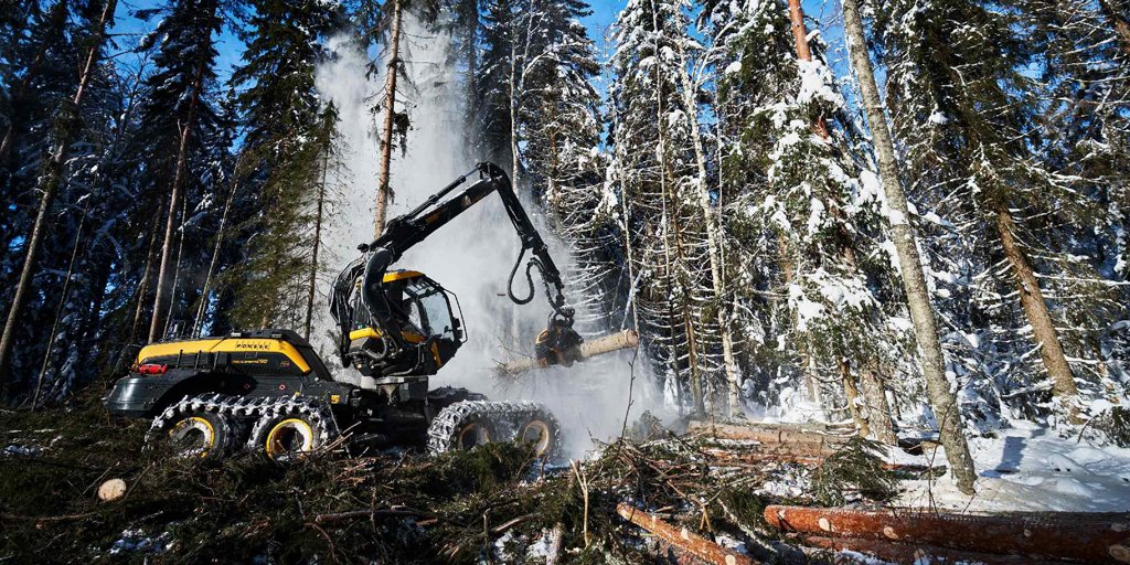 Nova Scotia’s forestry sector generates $1.8 Billion in economic impact... tinyurl.com/3kfsmytd #NovaScotia #forestry #Economic  #green #carbon #environment #wood #sustainable #petroleumbased #woodbased #biofuels #iochemicals #biocoal #ifi_news