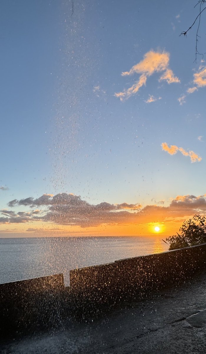 Esses momentos especiais … até amanhã 🌞 #Madeira