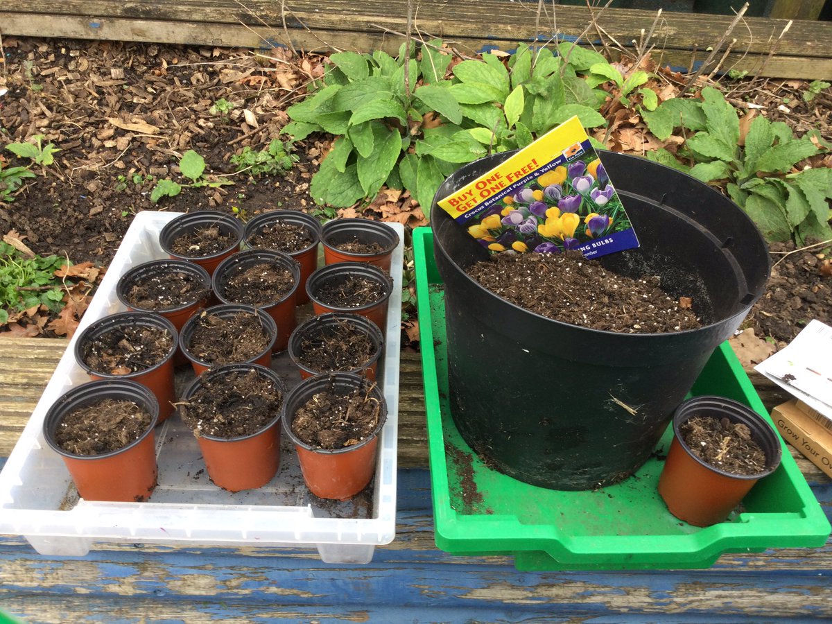 We planted lots of herbs and tulips in EYFS this week. We look forward to observing them grow!