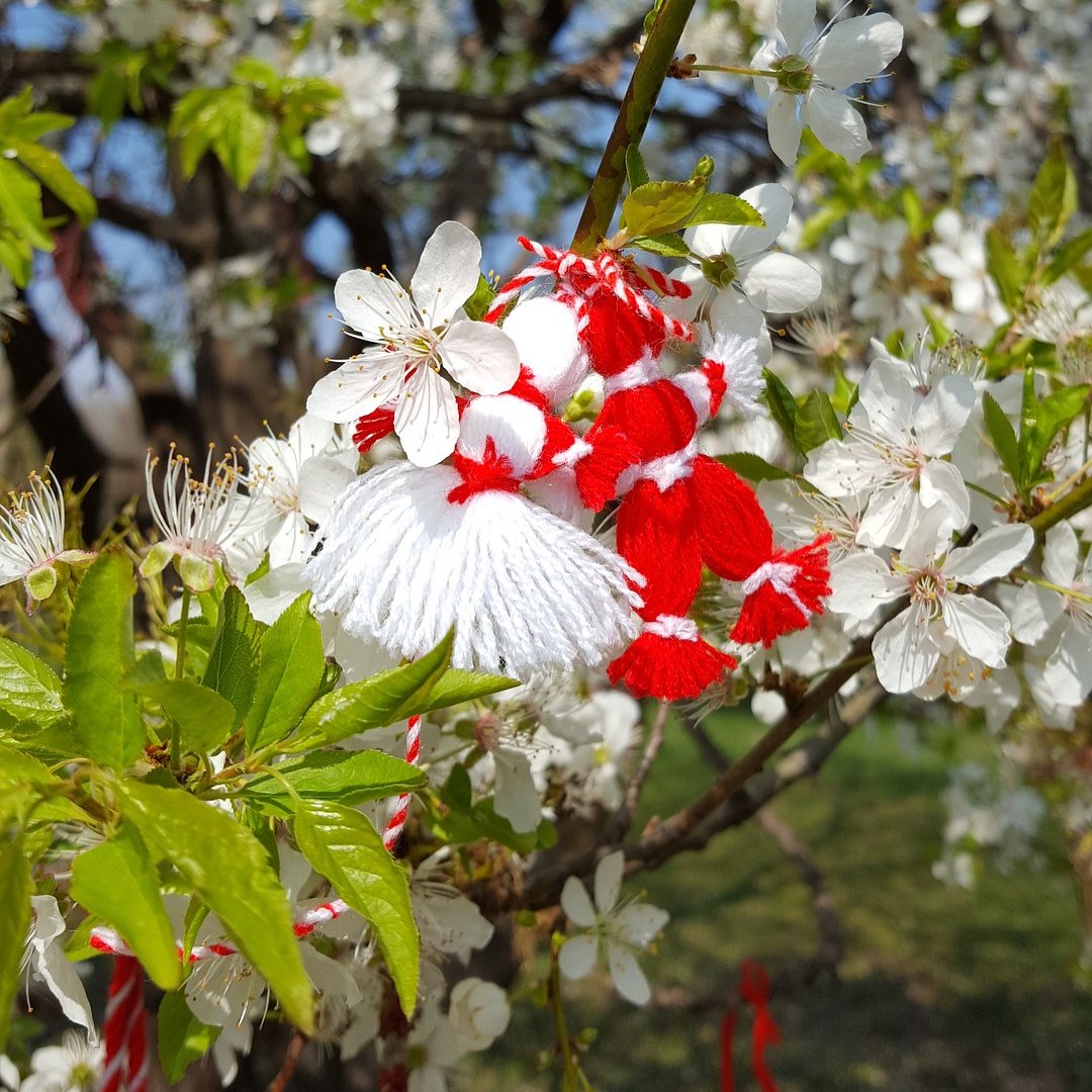 Happy Baba Marta! [EN: Granny March] A centuries-old Bulgarian tradition, marking the end of the winter &amp; the beginning of the spring. People exchange red &amp; white interwoven strings, wishing to each other health and happiness during the year. Pic: Pixabay
tinyurl.com/94drkbc5