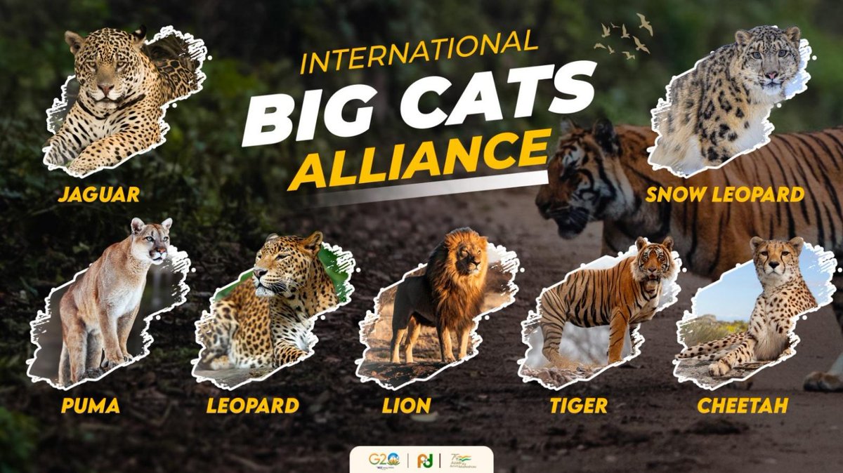 Headquarters of The International Big Cat Alliance (IBCA) will be in India.

- What is IBCA?
- What are big cats?

Must read for Prelims 2024!!!