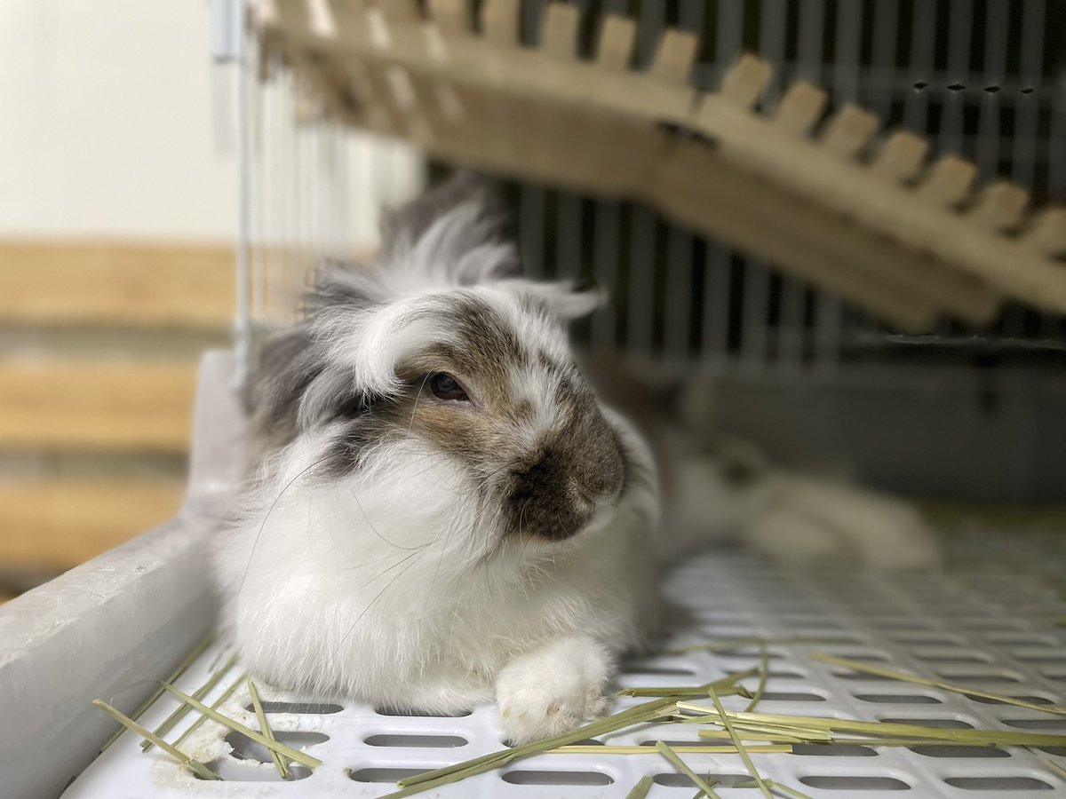 かかかっこいい...