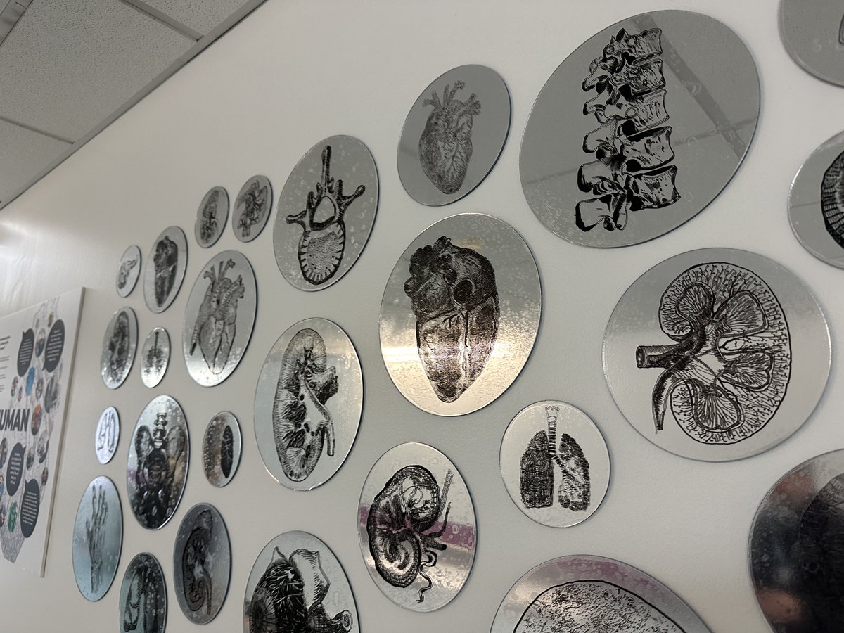 Beautiful work from @xpgateshead, curated at @Gateshead_NHS - exploring what it means to be human and encouraging organ donation. Read all about this and more awesome stories from across our Trust this week here: xptrust.org #WeAreCrew