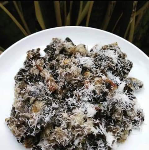 Gatot singkong 
Jajanan kuno