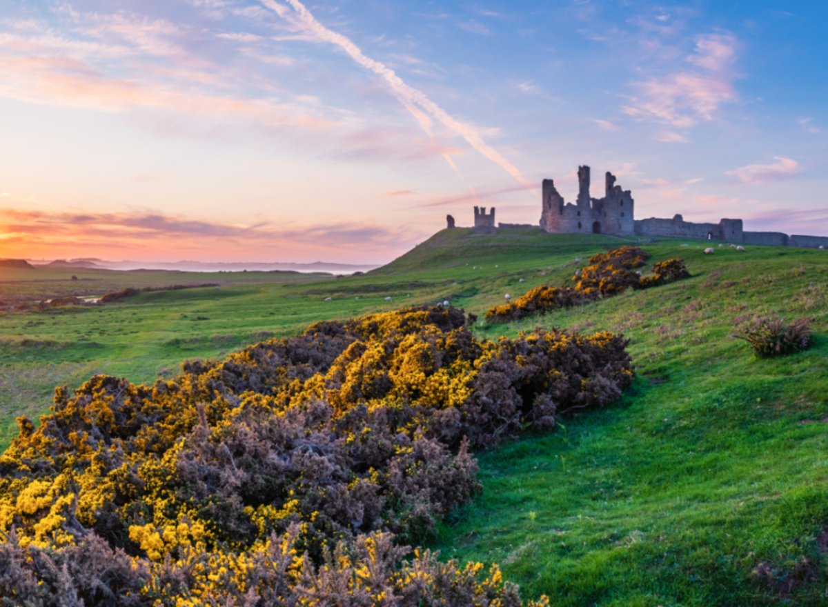 Writing a Cozy Mystery: Step 1 Research open.substack.com/pub/victoriata…