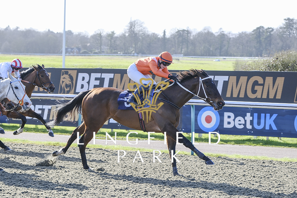 RACE 2 WINNER - @BetMGMUK AWC Fillies And Mares Trial Handicap Shades Of Summer 🏆 Jockey: @Laurapearson_ Trainer: @JaneChappleHyam Owner: Jastar Capital Limited #LingfieldPark