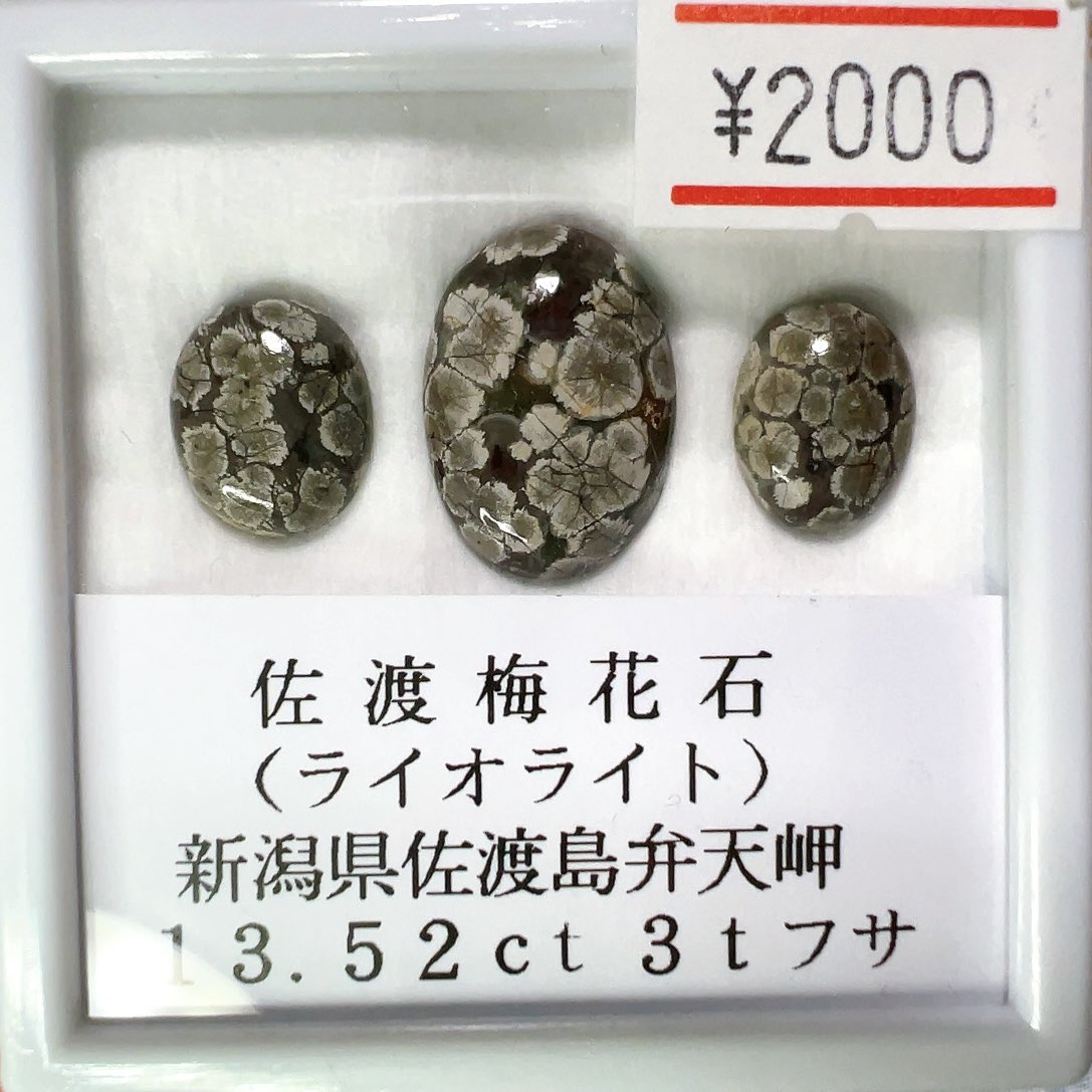 今回コレが欲しくて行きました♡ 新潟の佐渡梅花石。 確か30年前くらい