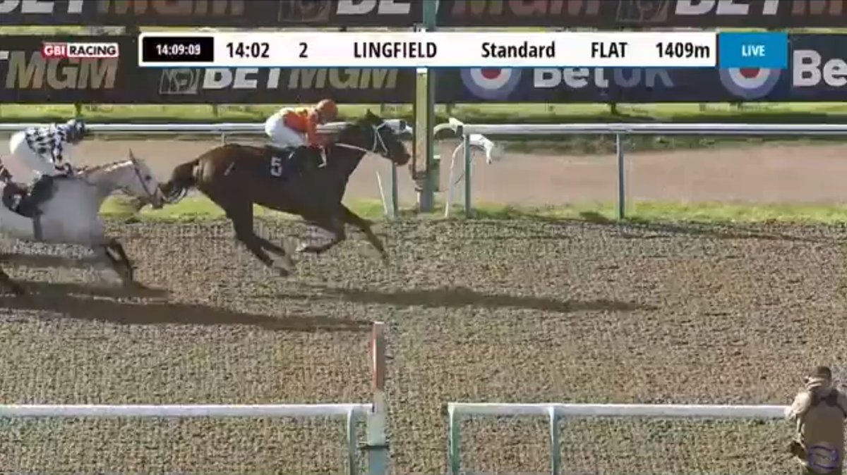 Congratulations to Laura Pearson @Laurapearson_ with a birthday winner at Lingfield Park @LingfieldPark‼️🏇 Shades Of Summer wins the Handicap for trainer Jane Chapple Hyam @JaneChappleHyam Happy Birthday Laura‼️🎉 #winner #HappyBirthday #horseracing #Lingfield
