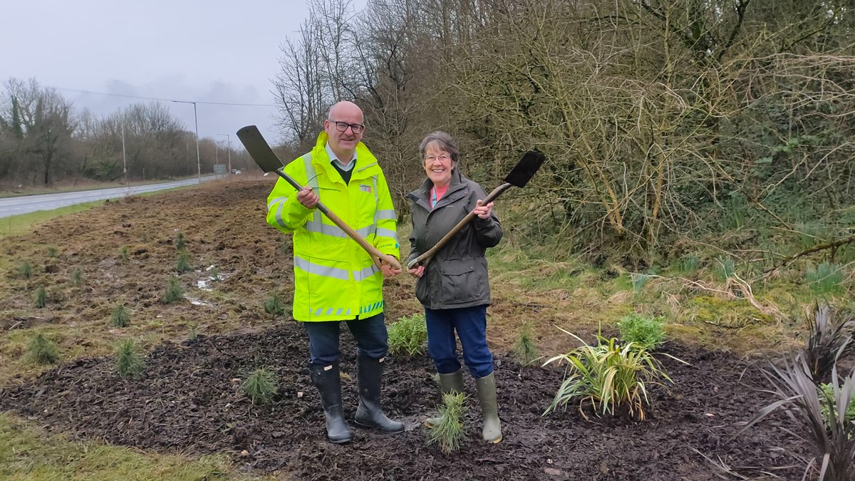Replanting scheme sees 500 trees planted as part of Ash dieback transformation 🌲🍃🌳

👇

gloo.to/6ptd