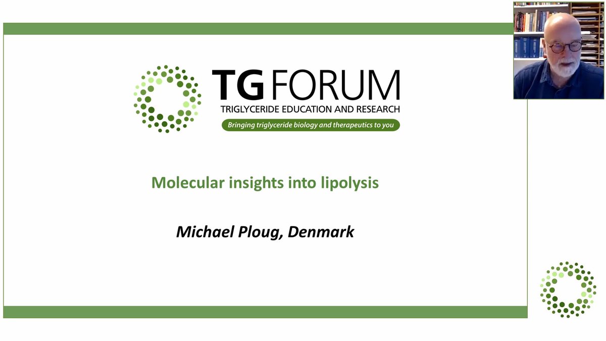 How is lipoprotein lipase activity regulated? Find out latest advances in understanding of this key enzyme for triglyceride metabolism in Dr Michael Ploug’s new video on Triglyceride Forum >> triglycerideforum.org/expert-meeting… 
#TGmetabolism #lipoproteinlipase #Triglycerides #lipolysis