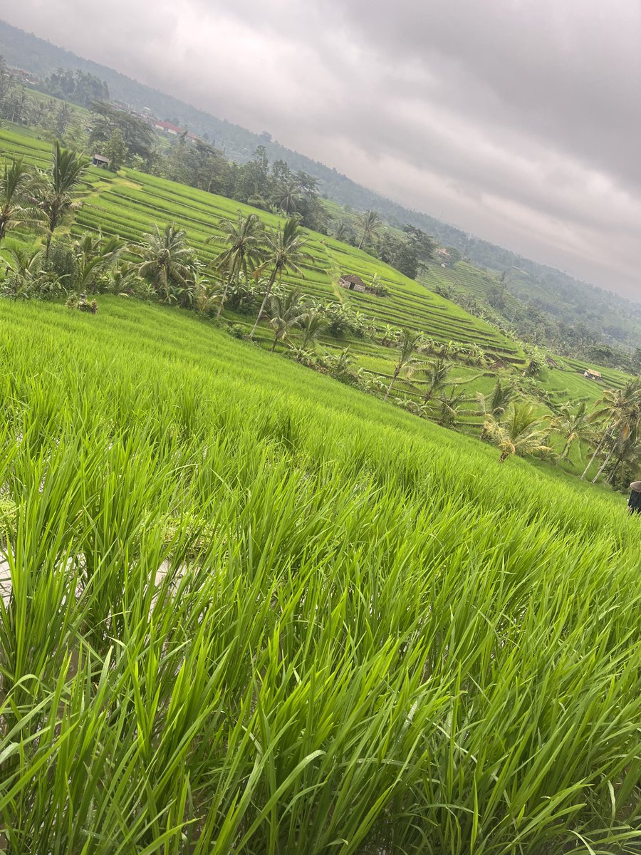 Rachael Clamp tweet media