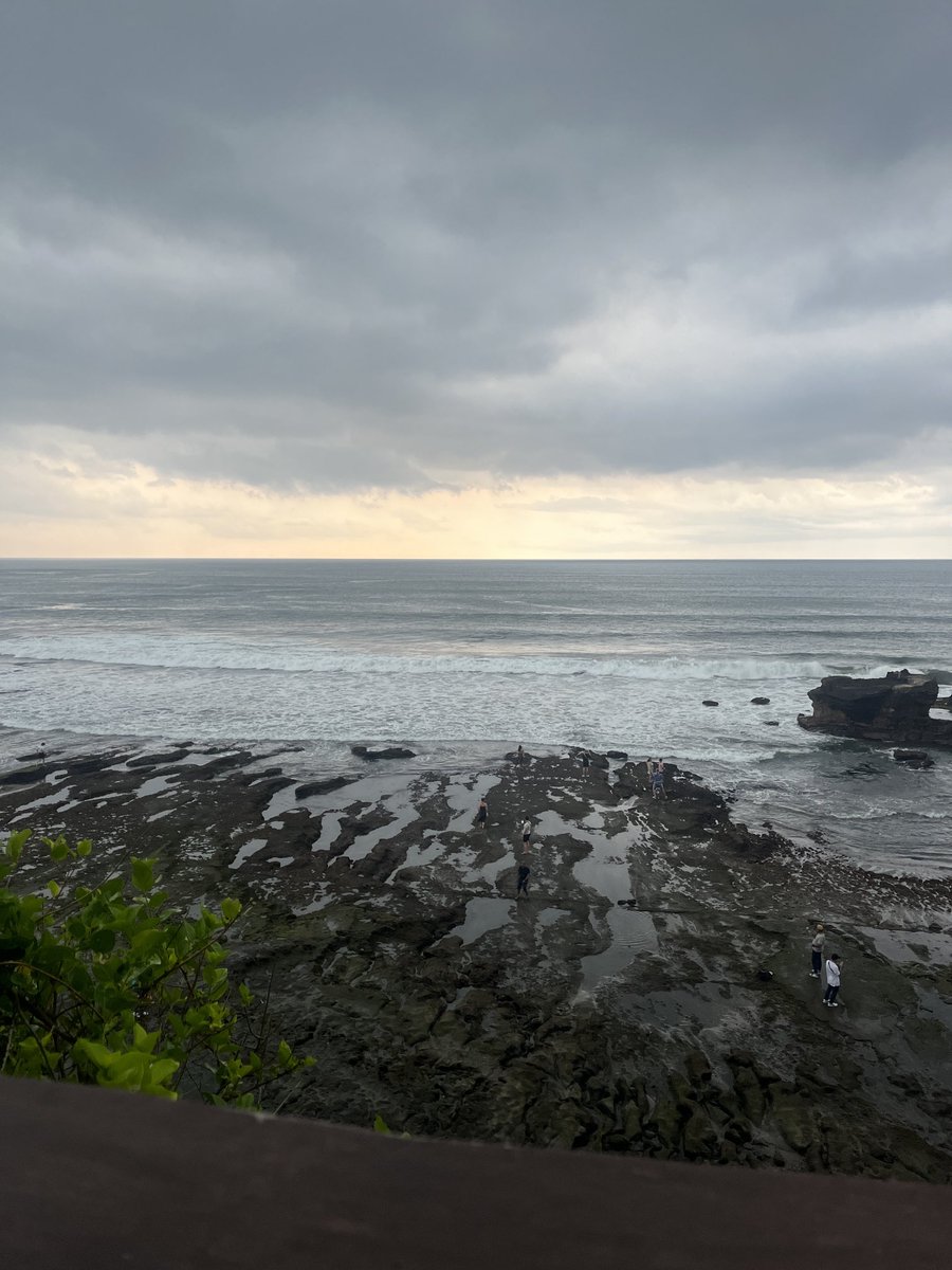 Rachael Clamp tweet media