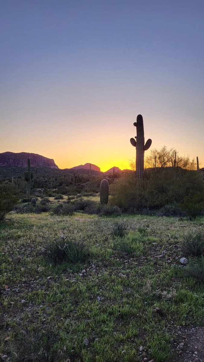 I've lived in Arizona for almost three years now and I never get tired of the beautiful sunsets😍 #Arizona