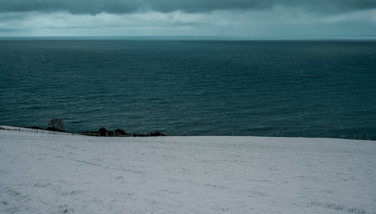 Spring time in Wicklow #photoswimthesis #SeaStudio #IdeasThatFloat