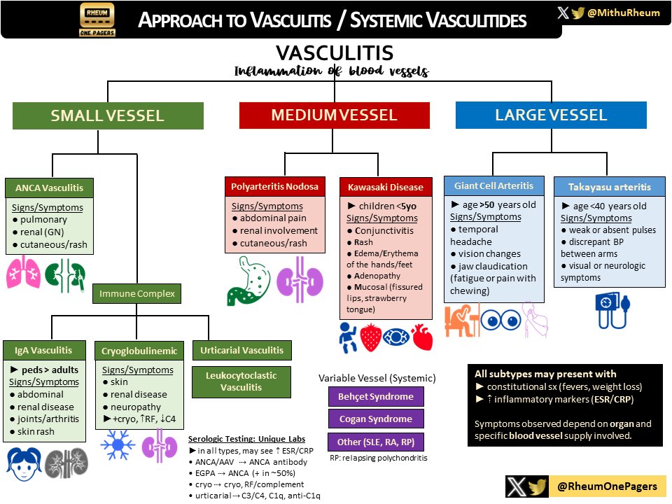 🆕 #Vasculitis Demystified: An Approach to Systemic Vasculitides 🔥

• often characterized by SIZE of vessel 
• multi-system involvement: 
🫁 Pulmonary 
🫘 Renal 
🤚🏽 Skin
👁️ Ocular

#RheumTwitter #MedTwitter #MedX
