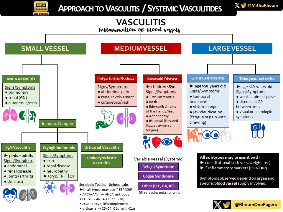 🆕 #Vasculitis Demystified: An Approach to Systemic Vasculitides 🔥 • often characterized by SIZE of vessel • multi-system involvement: 🫁 Pulmonary 🫘 Renal 🤚🏽 Skin 👁️ Ocular #RheumTwitter #MedTwitter #MedX