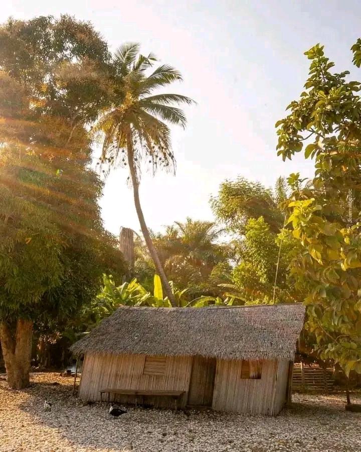 LE CONGO EST UNE MERVEILLE ❤️🇨🇩
La Province du Kongo Central dévoile fièrement ses trésors le long des rivages de l'océan Atlantique 🏝️🥰
Au cœur de cette splendeur, la cité balnéaire de Moanda dévoile sa grâce maritime sous le murmure apaisant des vagues de l'océan 😯😍