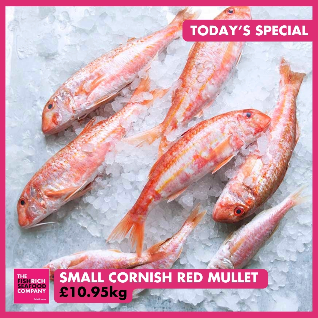 🐟️ Today's Special - Small Cornish Red Mullet - £10.95kg
⁠
To order, get in touch with us here⁠...
⁠⁠
📱0115 978 9411⁠
📧 orders@fishrich.co.uk⁠ ⁠
🖱️ fishrich.co.uk⁠ ⁠
🚚 Delivering Tues-Sat across Midlands⁠

#cornishfish #freshseafood #freshfish