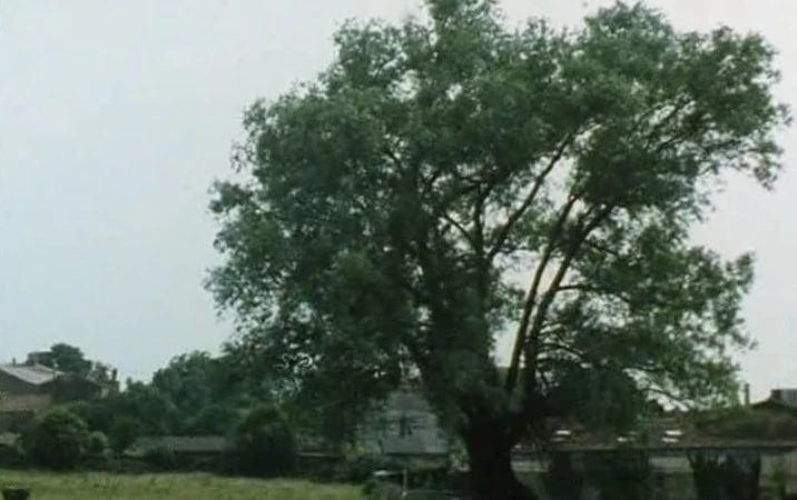 RetroProjecteur's tweet photo. Avec “L'arbre, le maire et la médiathèque” Rohmer signe une merveilleuse fable écologique et dresse un passionnant portrait de la politique comme lieu de circulation de la parole.

Le film passe ajd 19h30 à la Filmo du Quartier Latin en présence de Pascal Greggory &amp; @Victorien_ca https://t.co/cYlWKYpKPi