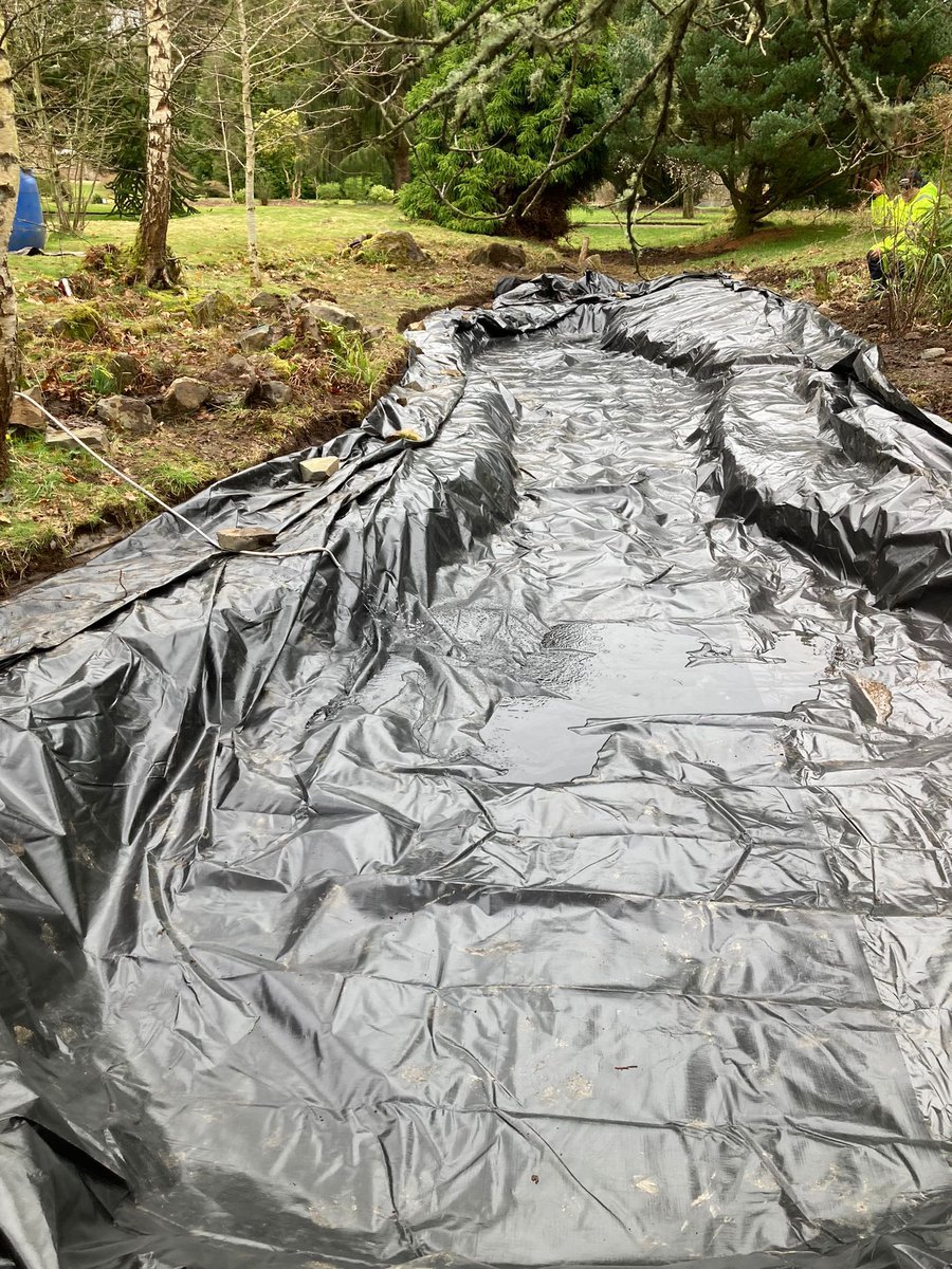 The wildlife pond has been restored with help from residents and Glasgow Clyde college students 

The wildlife pond will attract frogs , newts , birds , dragonflies 🐸 

Please be mindful if visiting the pond with kids