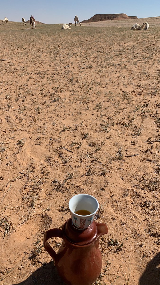 كان ذنبك عزة النفس تكفى لا تتوب
جعل ربي ، مايذل العزيز مْن الرجال
.
#سنابيه #سنابيات