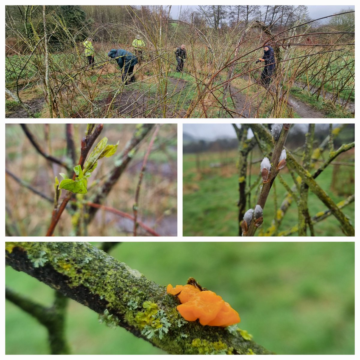 Snow, sleet, hail, sunshine after the rain...all in a day's work for @DerbysWildlife volunteers...today planting willow whips @PeakVillage1 #volunteering #fourseasonsinoneday