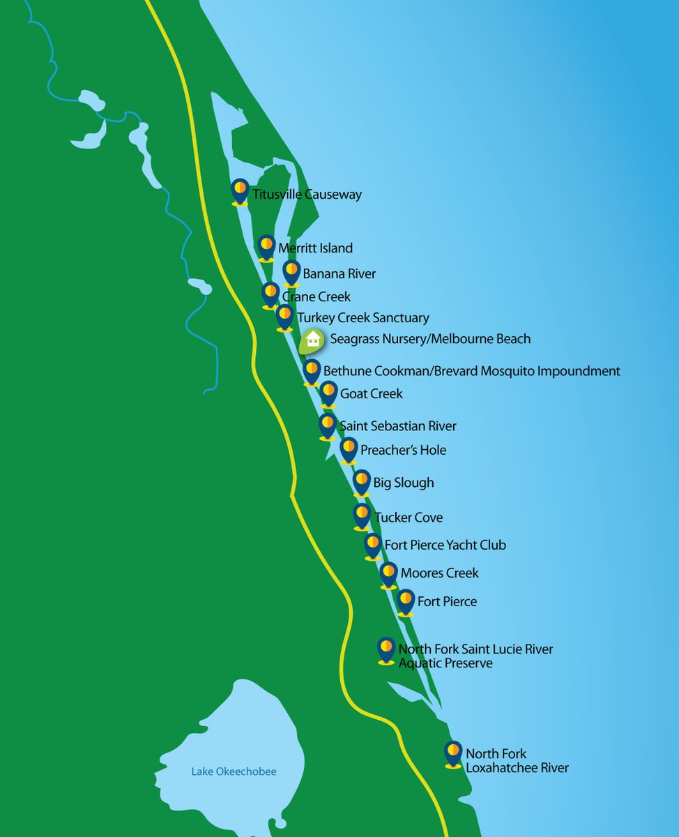 Today, on #WorldSeagrassDay, Florida's leading aquatic restoration firm Sea & Shoreline announced the unveiling of a new seagrass nursery in Melbourne Beach, Fla. brnw.ch/21wHtPd #AquaticRestoration