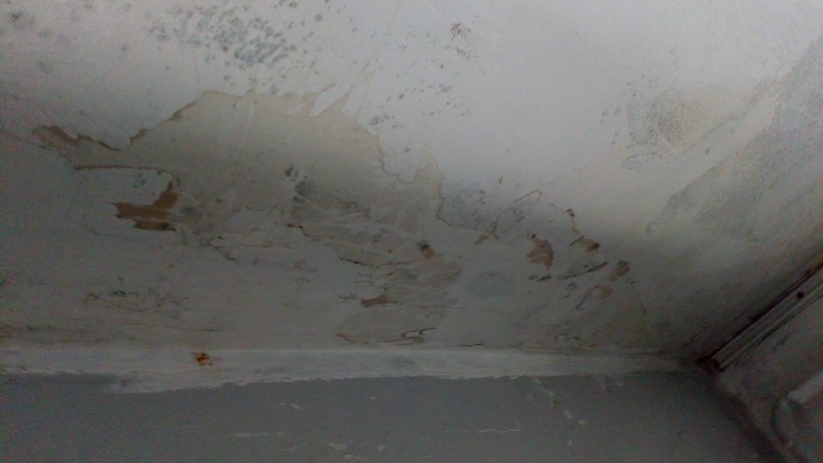Another home within #iveaghhouse despite #residents complaints & meetings with #housingmanagement many are still living with #mould #leaks 4 years within their #home
@YourGuinness when will residents be assured this ordeal with be dealt with. Or is this yet another ongoing #cycle