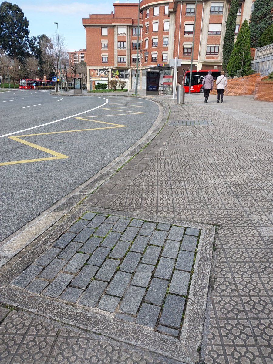 🤨En #Bilbao también se tapan alcorques... @bilbao_udala si el problema es que los árboles están muy cerca de la parada de autobuses, los alcorques se mueven o sustituyen por 'macetones' pero no... mejor el cementazo 🧱