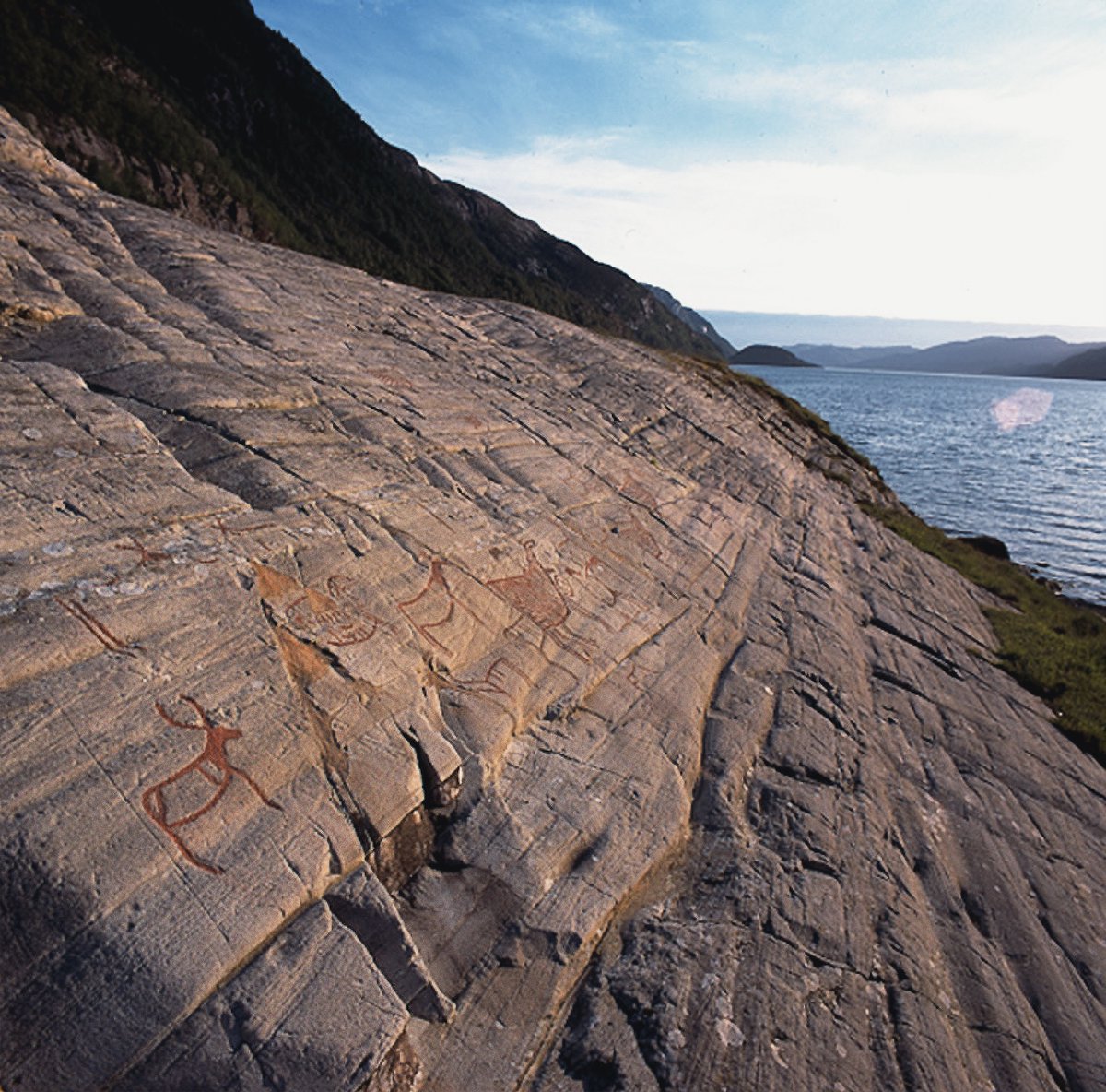 BradshawFND's tweet photo. In the evening light at sunset, herds of #animals are revealed in the form of carvings on this rocky outcrop at #Vingen in #Norway. Embedded in its natural setting almost unchanged since the #rockart was made many thousands of years ago. https://t.co/xwjFDhwVtD https://t.co/dlYlzzUcxN