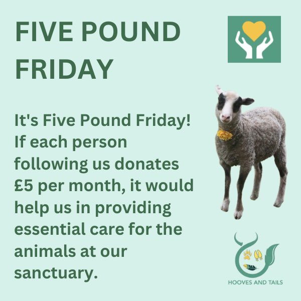 HoovesTails's tweet photo. Five Pound Friday!

Help us care for our sheep with a £5 donation today! 

Just 50 donations cover our monthly hay cost &amp; keep them happy &amp; healthy. 

Donate  https://t.co/mNeOiesO8V

#fivepoundfriday #sheep #sanctuarylife #donate https://t.co/EKcwY5pCyV